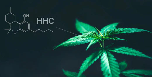 Wat is HHC en wat doet het?